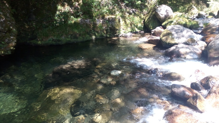 a0063856_14155411.jpg