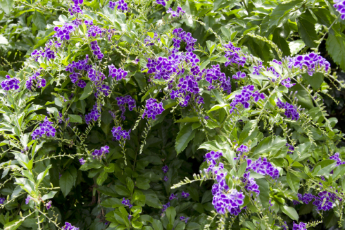 a0248459_15121106.jpg