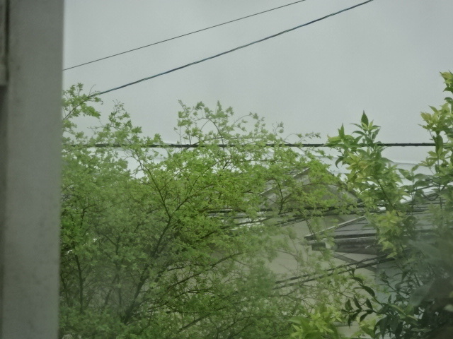 a0241761_15332536.jpg