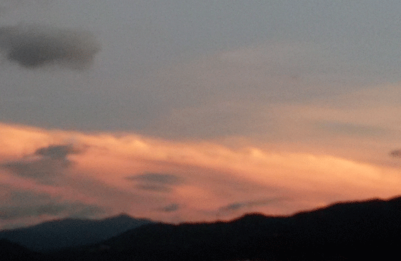 a0103464_07471326.gif