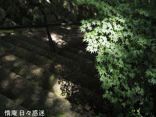 e0346064_13432307.gif