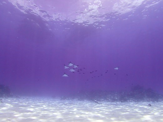 e0132965_16094012.jpg