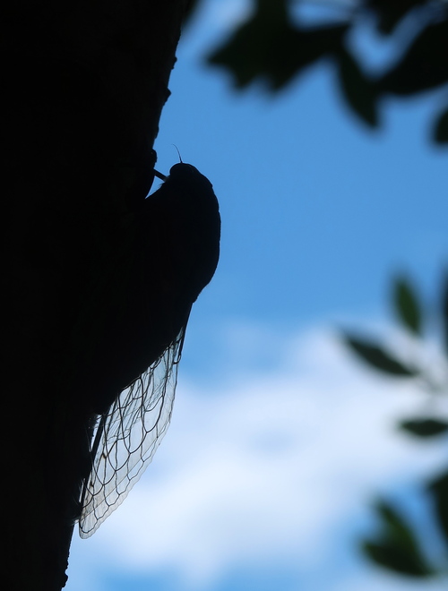 b0113868_1804926.jpg