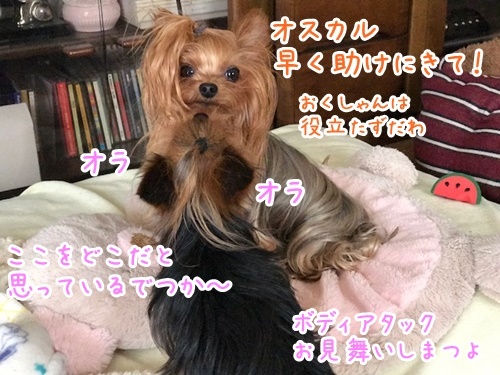 e0248268_09164418.jpg