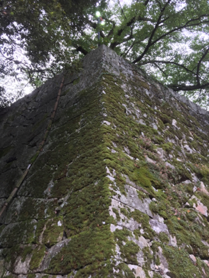 c0217871_04402017.jpg