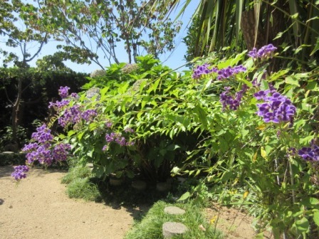 e0240973_12024911.jpg