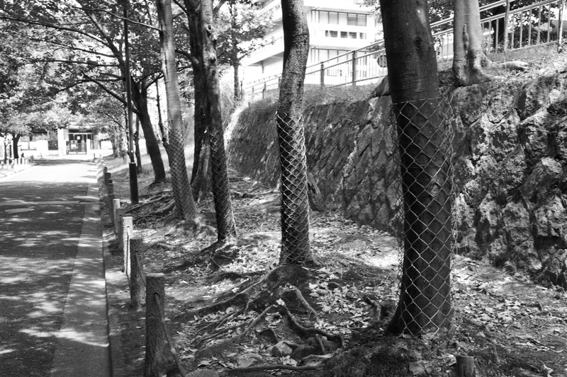 c0131875_14445500.jpg