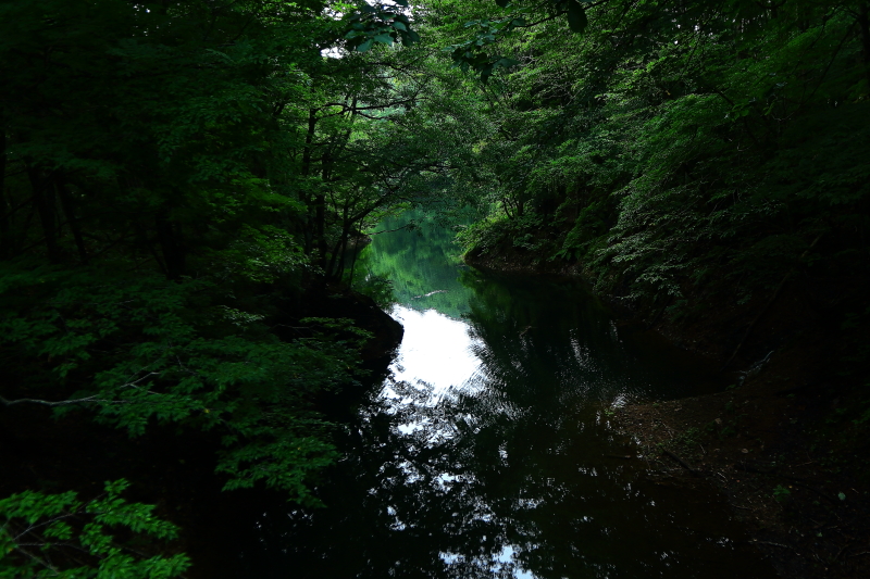 f0075075_17222127.jpg