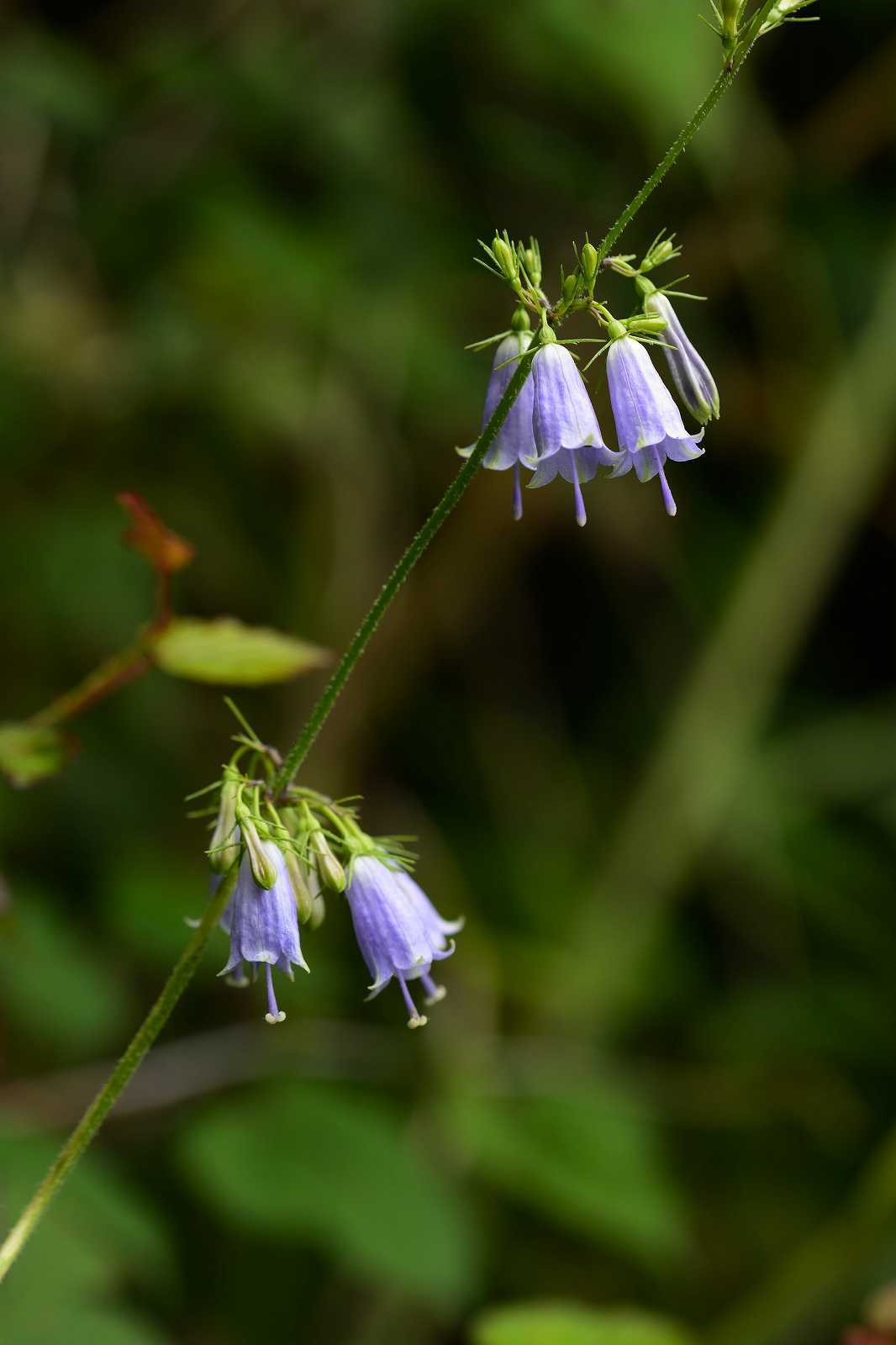 d0328977_10130411.jpg