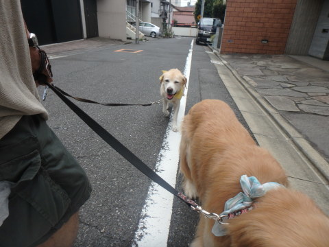 f0052277_02053712.jpg