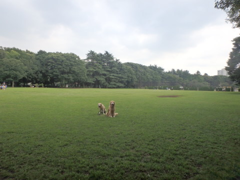 f0052277_02131372.jpg