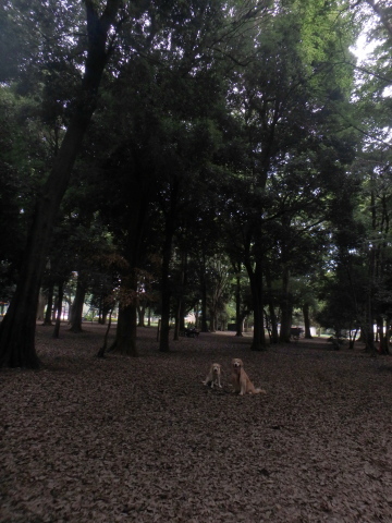 f0052277_02135093.jpg