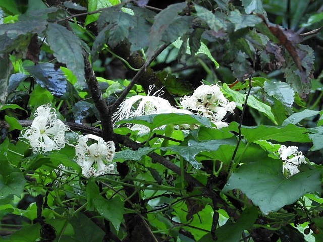 f0378979_14073453.jpg