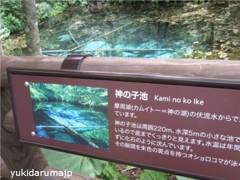 f0055380_15454200.jpg