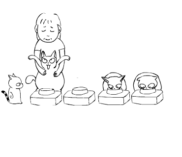 c0011300_20593829.gif