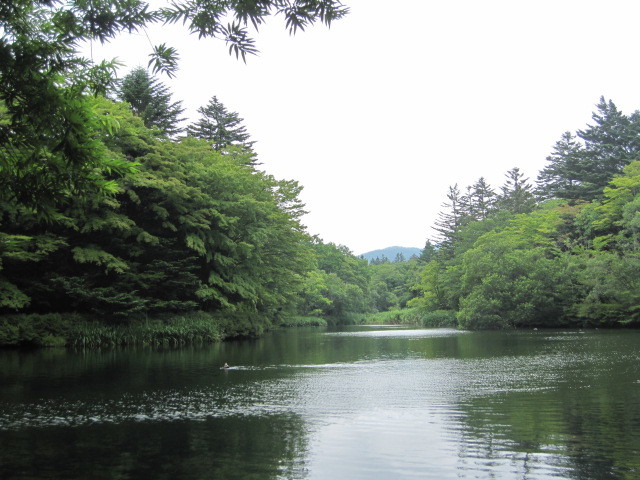 c0152002_18053917.jpg