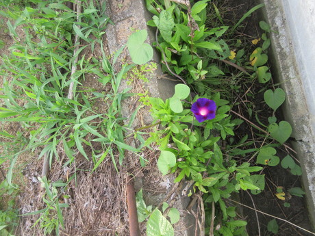 a0203003_8484910.jpg