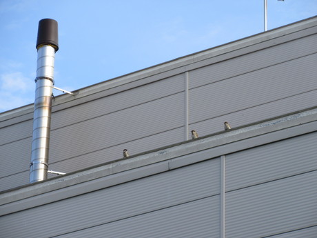 a0203003_8495010.jpg
