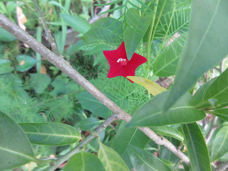 a0203003_8502633.jpg