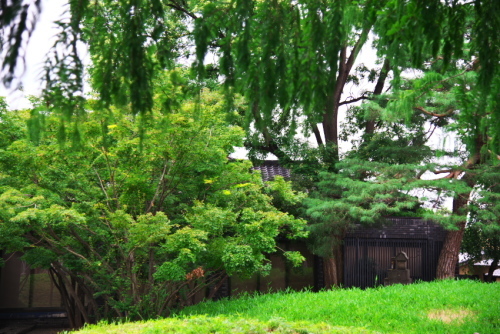 a0263109_15551783.jpg
