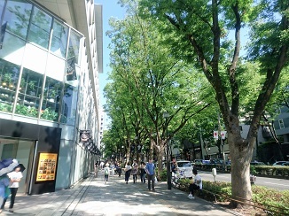 d0091909_06140925.jpg