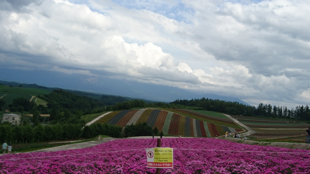 f0182618_22440096.jpg