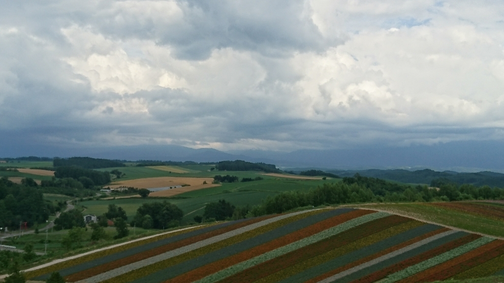 f0182618_22442519.jpg