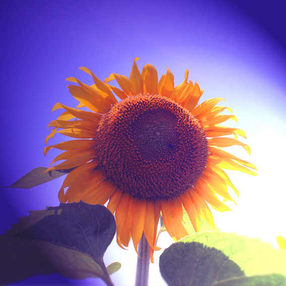 a0329820_23145117.jpg