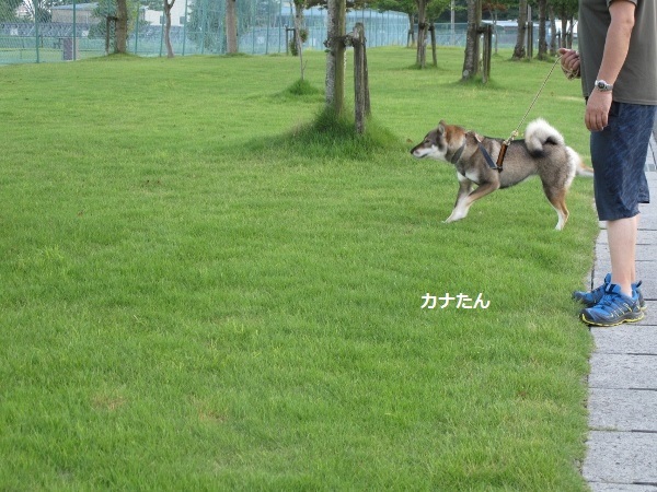 f0143123_08583982.jpg
