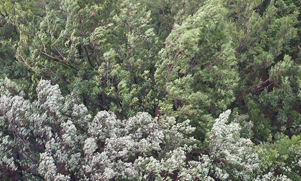 c0188928_18101987.jpg