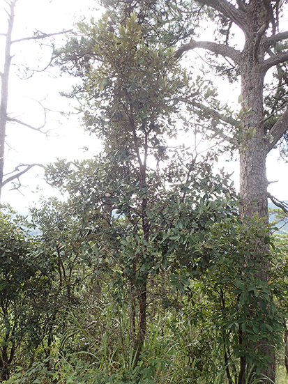 c0177135_22073833.jpg
