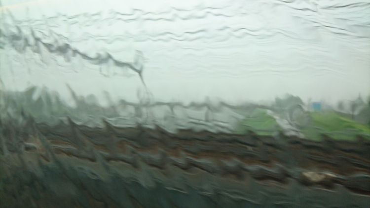 c0193136_08481911.jpg