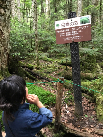 f0236736_22151115.jpg