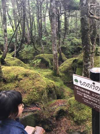 f0236736_22231961.jpg