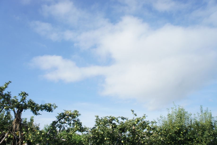 f0368538_09145347.jpg