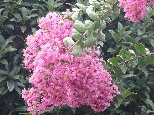 a0054240_01362.jpg