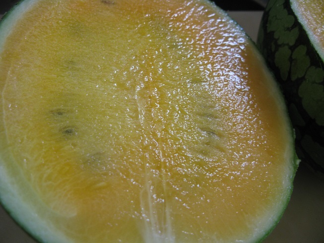 d0333943_22481444.jpg