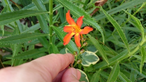 f0326946_23163030.jpg