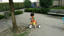 f0087347_23441069.jpg