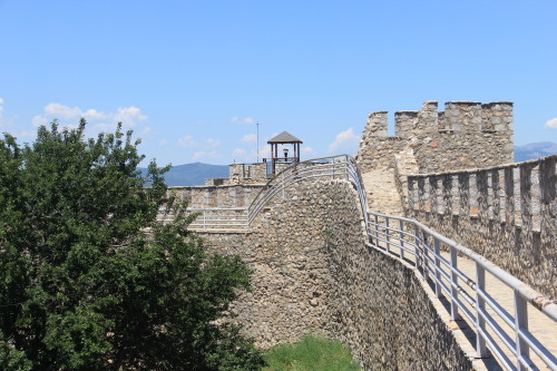c0011649_06462977.jpg