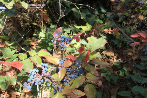 c0011649_06512944.jpg