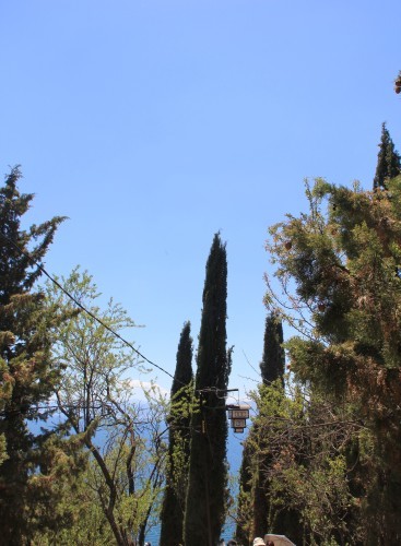 c0011649_06591035.jpg