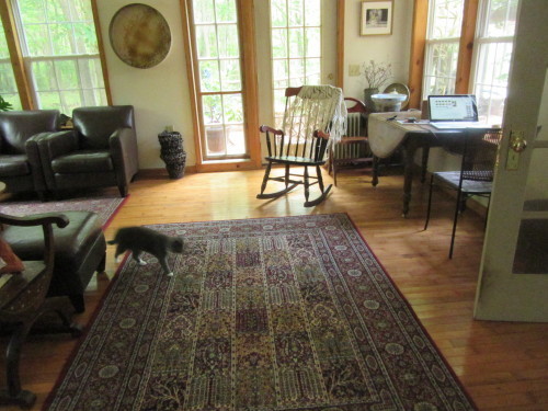 b0247153_01541878.jpg