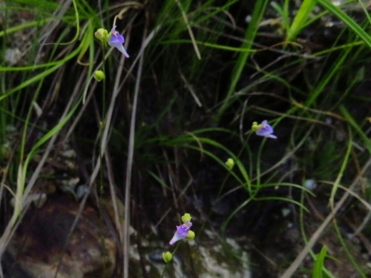 a0018655_13223217.jpg