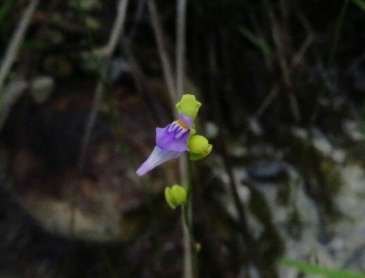 a0018655_13224136.jpg