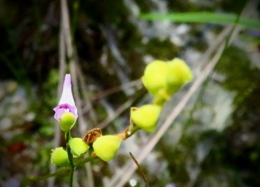 a0018655_13224660.jpg
