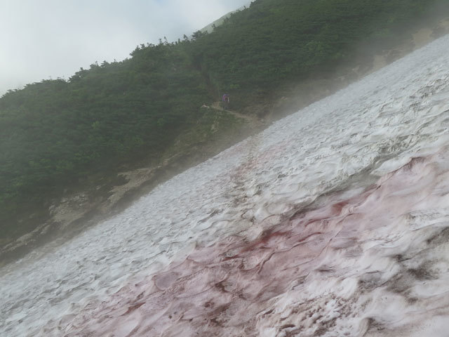 c0116856_19494465.jpg