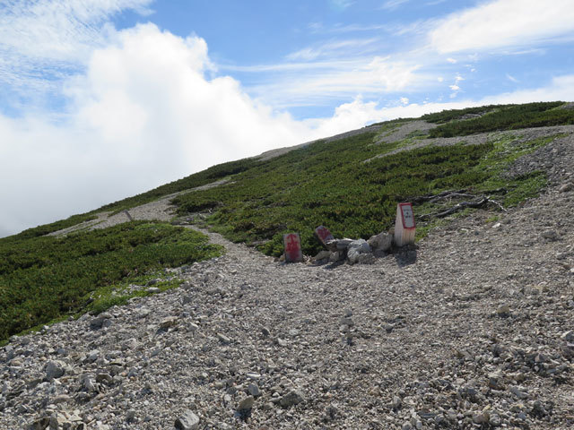 c0116856_19535817.jpg