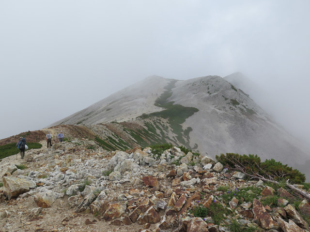 c0116856_19554424.jpg