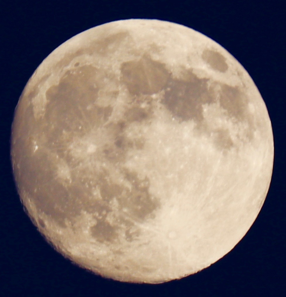 a0248459_15383905.jpg